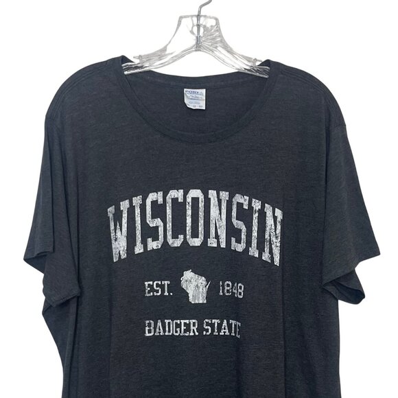 Wisconsin Badger State Tshirt Womens XXL Gray Souvenir Port & Company - Picture 3 of 9